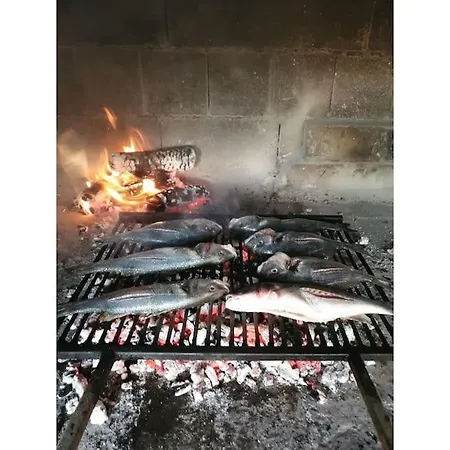 公寓 Kuca Za Odmor Iva 比比涅